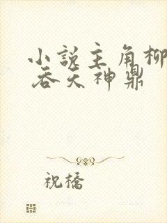 小说主角柳无邪 吞天神鼎