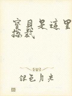 宝贝是这里对吗总裁