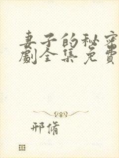 妻子的秘密电视剧全集免费观看高清