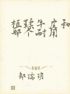 植鞣牛皮和真皮哪个耐用封面