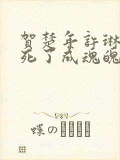 贺楚年许琳女主死了成魂魄小说