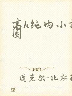 高h纯肉小说校园