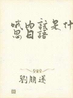 哦内该是什么意思日语