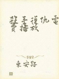 杀手复仇电影免费播放