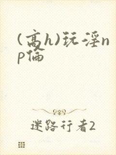 (高h)玩淫np伦封面