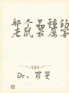 哪个品种的猫抓老鼠最厉害