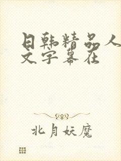 日韩精品人妻中文字幕在