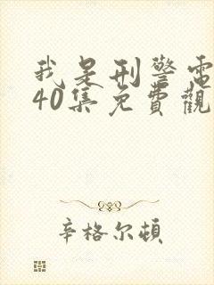 我是刑警电视剧40集免费观看封面