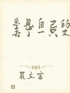 梦见自己的鞋子丢了一只又找到了