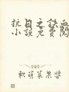 抗日之铁血使命小说免费阅读