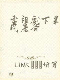 电视剧下辈子做我老爸