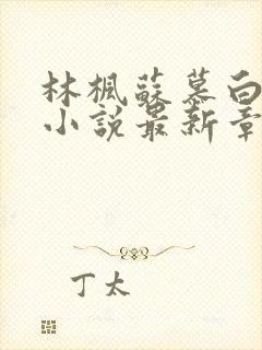 林枫苏慕白穿越小说最新章节更新完了吗