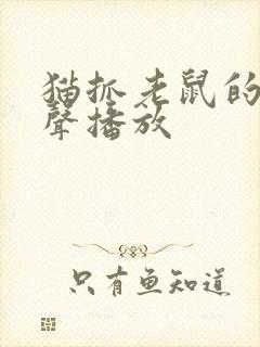 猫抓老鼠的惨叫声播放