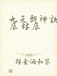 九天斩神诀 林辰 林辰