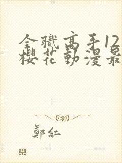 全职高手12季樱花动漫最新更新内容