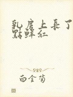 乳房上长了个红点鲜红