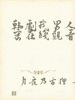 韩剧我男人的秘密在线观看封面