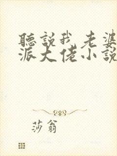 听说我老婆是反派大佬小说