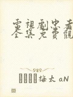 电视剧忠者无敌全集免费观看