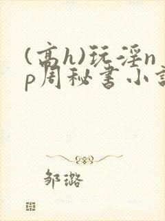(高h)玩淫np周秘书小说
