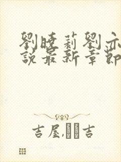 刘晓莉刘亦菲小说最新章节更新时间