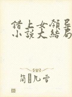 错上女领导官场小说大结局