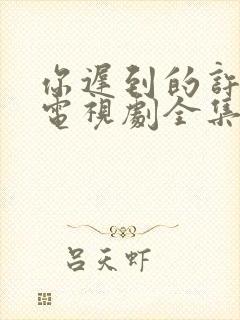 你迟到的许多年电视剧全集免费封面