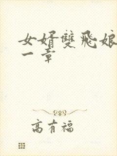 女婿双飞娘俩第一章