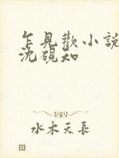 乍见欢小说闻溪沈砚知