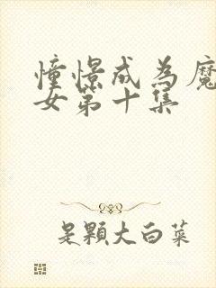 憧憬成为魔法少女第十集封面