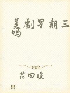 美剧星期三好看吗封面