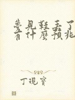 梦见鞋丢了一只有什么预兆封面