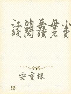 江明岳母小说在线阅读免费