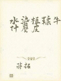 水染植鞣牛皮是什么皮