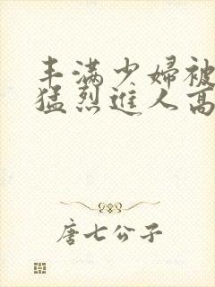 丰满少妇被粗大猛烈进人高清