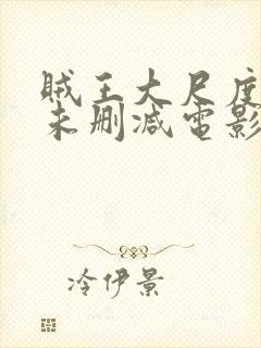 贼王大尺度做爰未删减电影