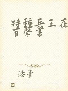 特种兵王在都市有声书