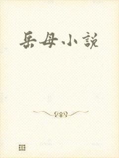 岳母小说
