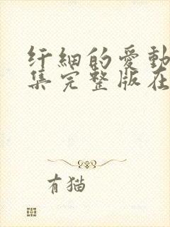 纤细的爱动漫全集完整版在线观看封面