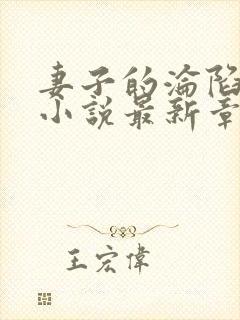 妻子的沦陷曹叔小说最新章节更新时封面