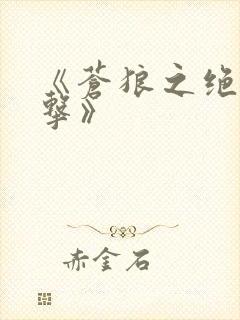 《苍狼之绝地突击》