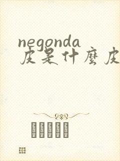 negonda皮是什么皮