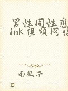 男性同性恋twink视频网站