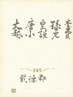 大唐皇孙李象穿越小说免费阅读全文