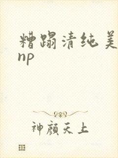 糟蹋清纯美人受np