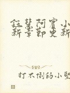 钰慧阿宾小说最新章节更新