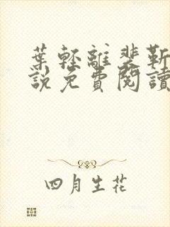 叶轻离裴靳墨小说免费阅读无弹窗封面