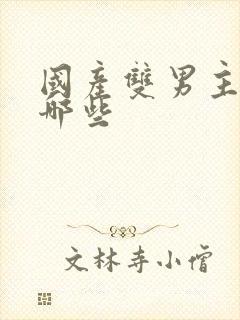 国产双男主剧有哪些