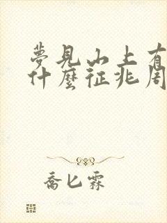 梦见山上有雪是什么征兆周公解梦