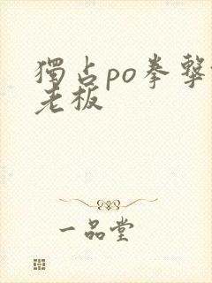 独占po拳击馆老板